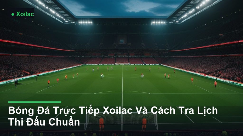 toàn cảnh sân vận động trong một trận đấu - Bóng Đá Trực Tiếp Xoilac Và Cách Tra Lịch Thi Đấu Chuẩn